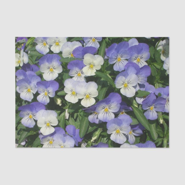 Purple Pansies Garden Floral Tissue Paper (Front)