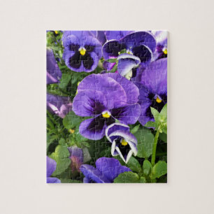 purple pansies jigsaw puzzle