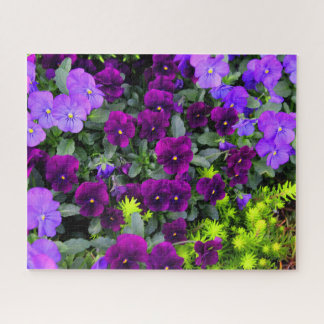 Purple Pansies Jigsaw Puzzle