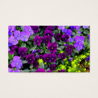 Purple Pansies Note Cards