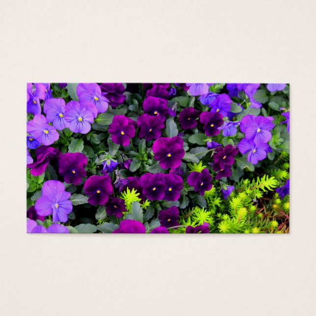 Purple Pansies Note Cards (Front)