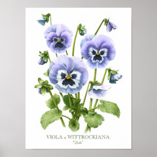 Purple Pansies Original Art Print