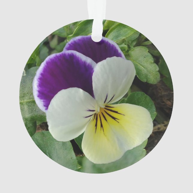 Purple pansies ornament (Back)