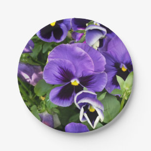 purple pansies paper plate