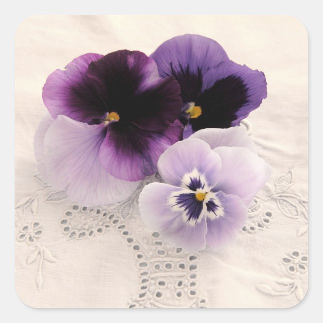 purple pansies square stickers (Front)