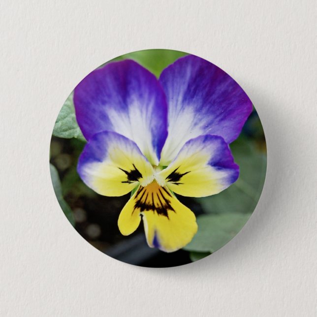 Purple Pansy 6 Cm Round Badge (Front)
