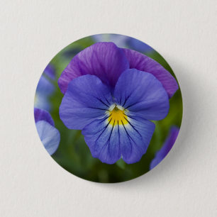 Purple Pansy 6 Cm Round Badge