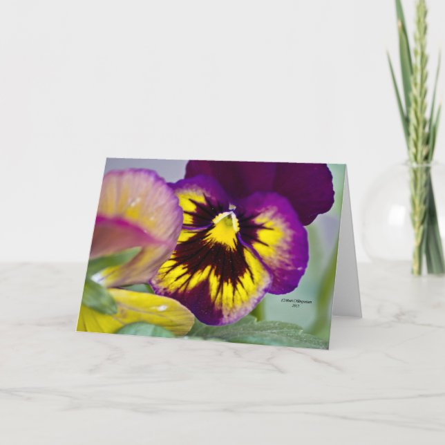 Purple Pansy Card (Front)