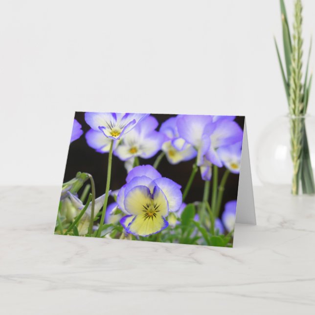 Purple Pansy Card (Front)