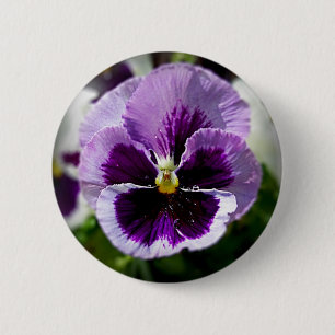 Purple Pansy Close Up 6 Cm Round Badge