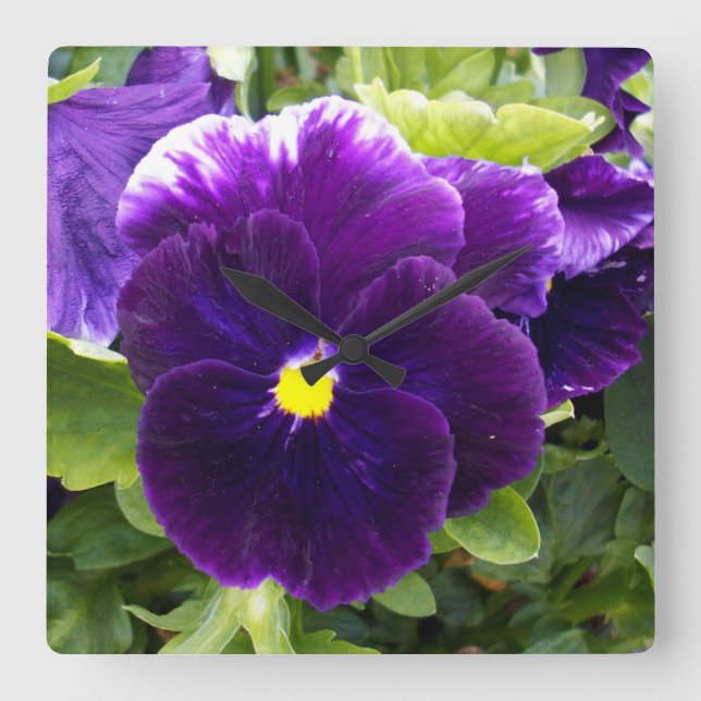 Purple Pansy Delights, Square Wall Clock (Front)