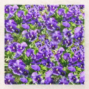 Purple Pansy Field, Glass Coaster