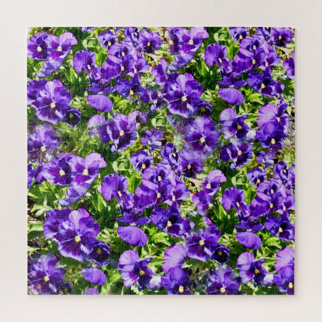 Purple Pansy Field,   Jigsaw Puzzle (Vertical)
