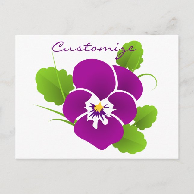Purple Pansy Flower Thunder_Cove Postcard (Front)