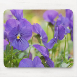 Purple Pansy Mouse Pad