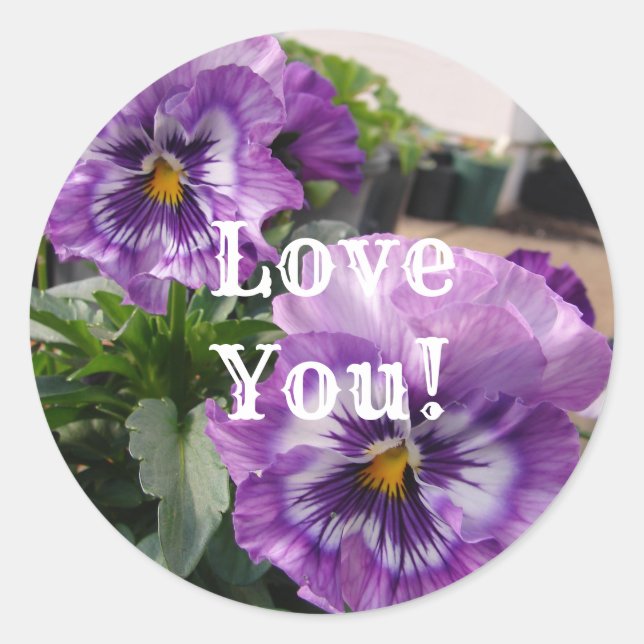 Purple Pansy Photo flowers floral Love Sticker Set (Front)