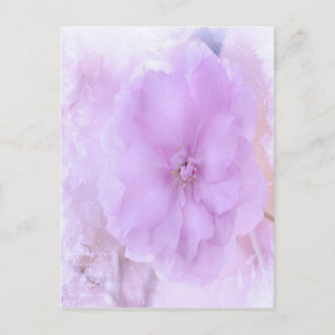 Purple Pansy Postcard