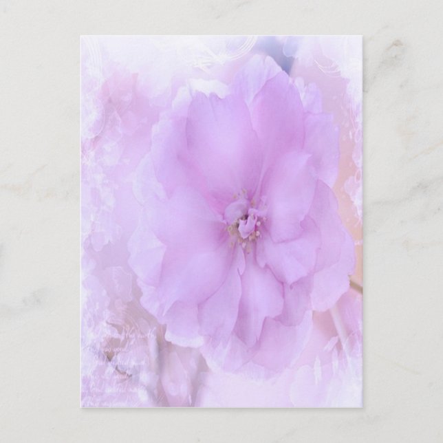 Purple Pansy Postcard (Front)
