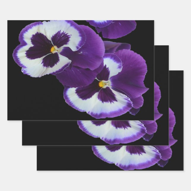 Purple Pansy Posy, Wrapping Paper Sheet (Set)