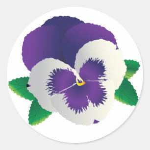 Purple Pansy Sticker