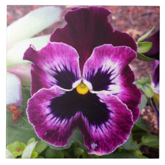Purple Pansy Tile