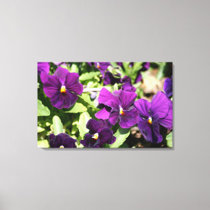 Purple Pansy Wrapped Art Canvas Print