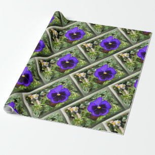 Purple pansy wrapping paper