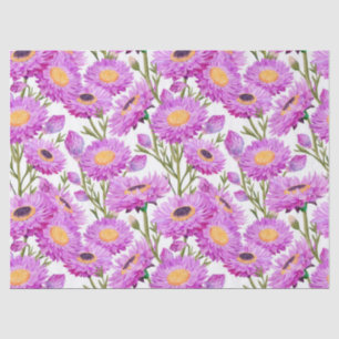 Purple Paper Daisies Floral Blooms