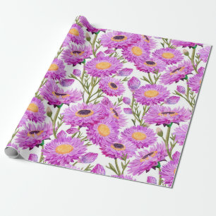 Purple Paper Daisies Floral Blooms