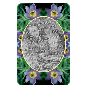 Purple Pasque Flowers Create Your Own Photo Magnet