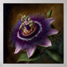 Purple Passion Flower Art Print Poster
