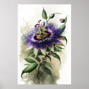 Purple Passion Flower Art Print Poster