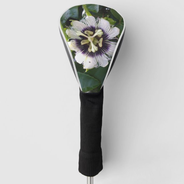 PURPLE PASSION FRUIT FLOWER GOLF HEAD COVER (Front)