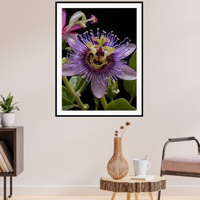 Purple Passion Fruit Flower, Poster (Living Room 3)