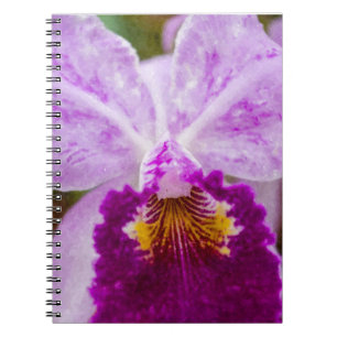 Purple Passion Orchid Notebook
