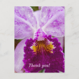 Purple Passion Orchid Thank You Postcard