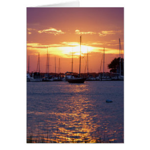 Purple Passion Sunset