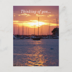 Purple Passion Sunset Postcard