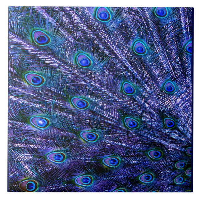 Purple Peacock Feathers Baby Blanket Tile (Front)