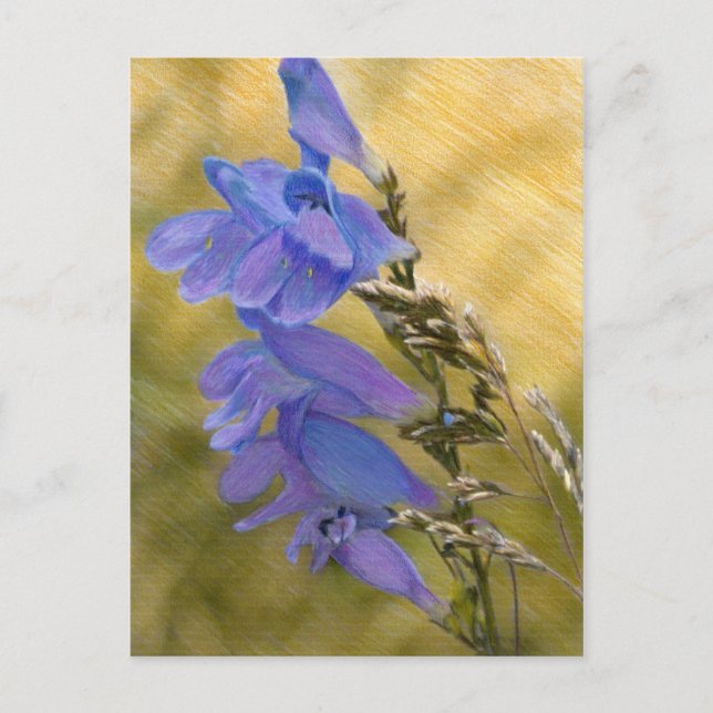 Purple Penstemon Mixed Media Drawing Postcard (Front)