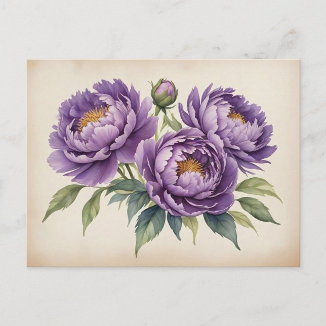 Purple Peonies on Parchment Postcard (Front)