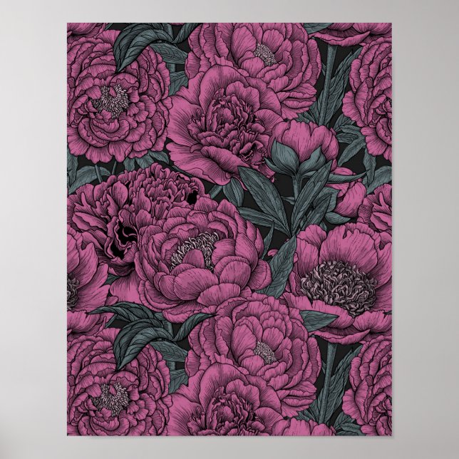 Purple peony flowers poster (Front)