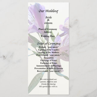 Purple Peruvian Lily Programme