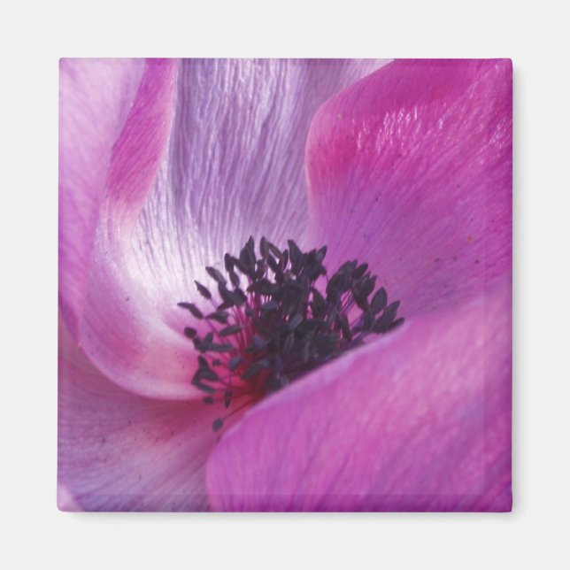 Purple Petals Magnet (Front)