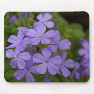 Purple Petals Mouse Mat