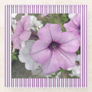 Purple Petunia Floral Photography Glass Coaster