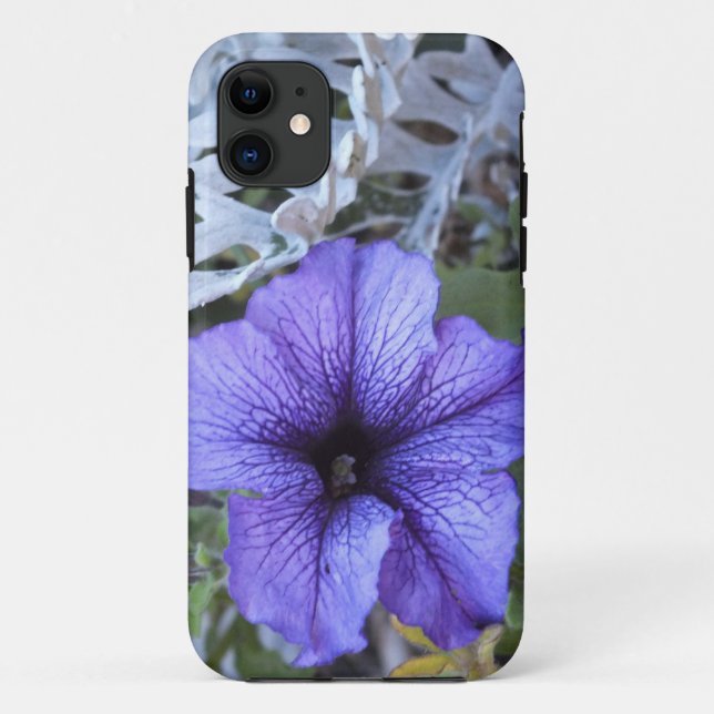 Purple Petunia N Dusty Miller iPhone 5 Case (Back)