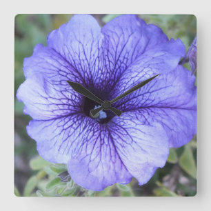 Purple Petunia Wall Clock