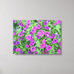 Purple Petunias Canvas