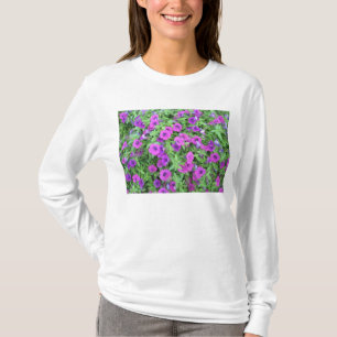 Purple Petunias Womens Hooded Sweatshirt T-Shirt